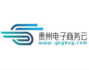 貴州電子商務(wù)云運營有限責(zé)任公司 實業(yè)投資的新篇章