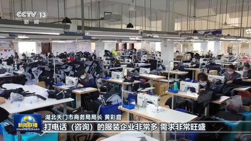 活力中國 跨境電商主體突破10萬，中小企業借力數字東風出海拓新機